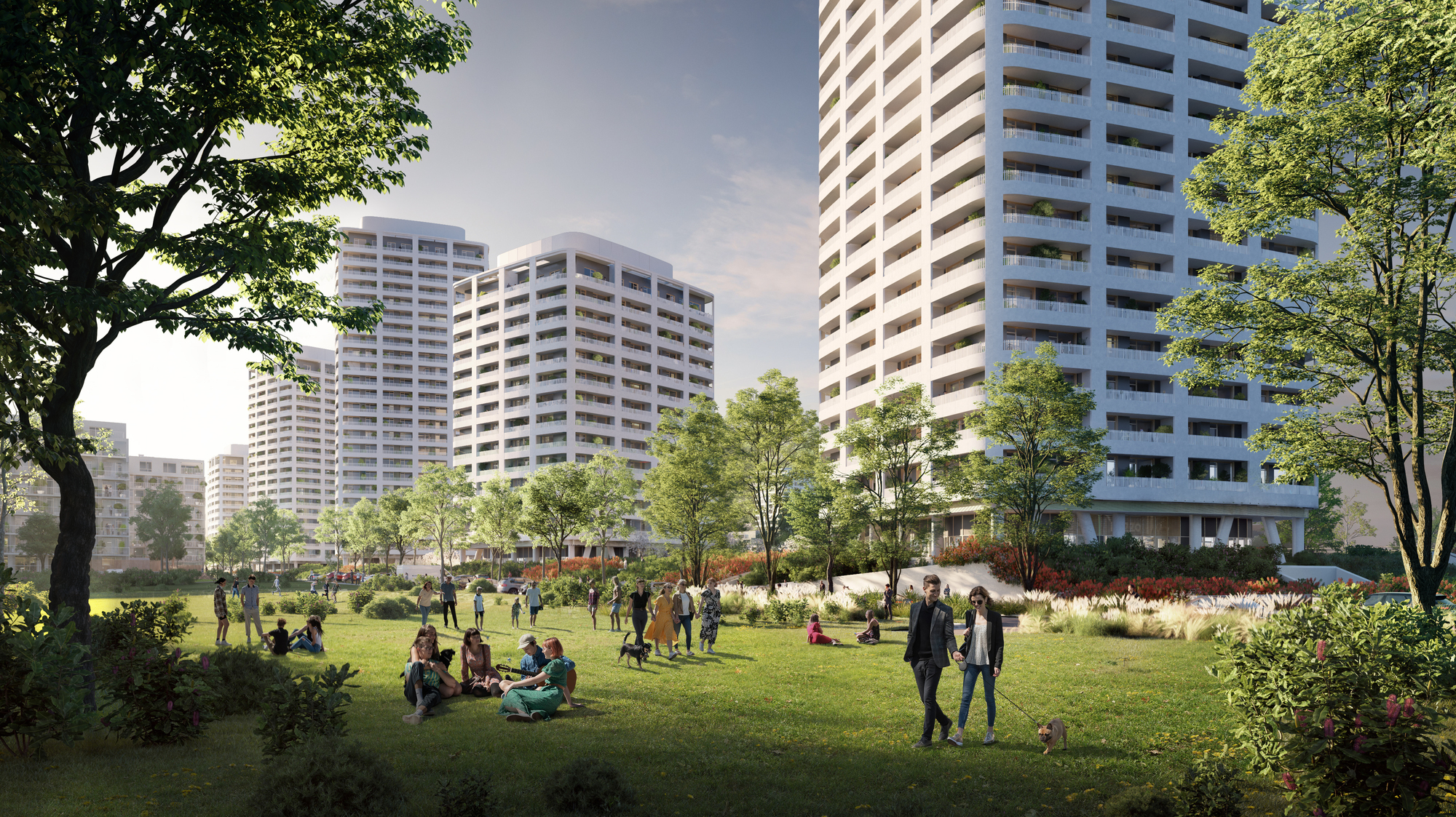 Slnečnice Nad mestom VEŽE